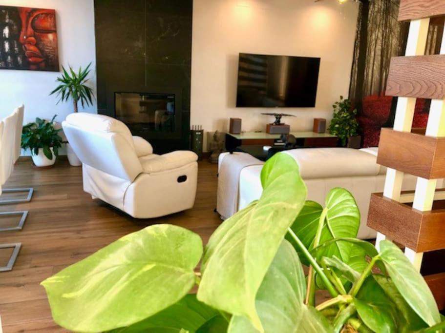 Modern Zen Bali Guest house Puerto Real